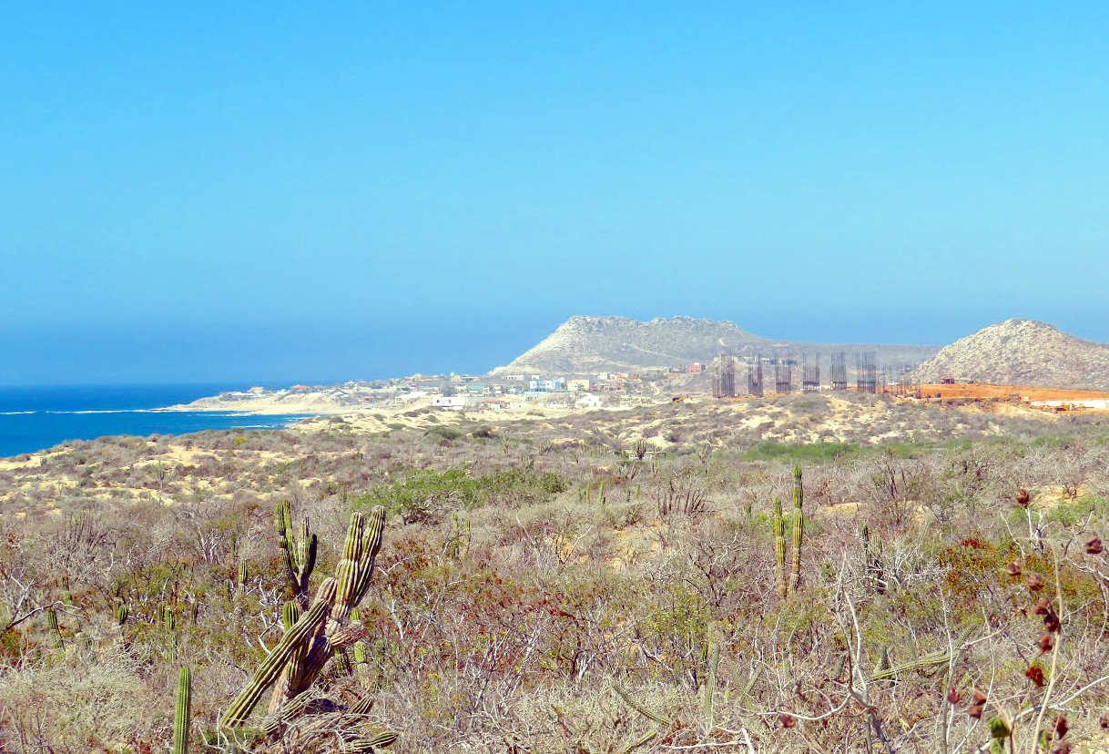 A building is rising.  There are three pads under development.  Construction may take more than two years to complete, based upon past practices.  The Celebrate Park is taking top priority, and it is not likely to be open until 2022.  So, East Cape is more than four years away.